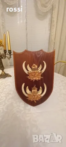 Двоен немски трофей диво прасе, резбована поставка, документ