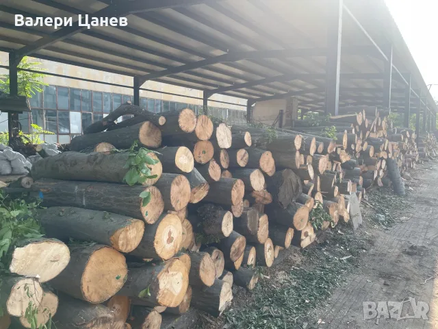 ДЪРВА за Огрев - завод Явор, снимка 2 - Дърва за огрев - 28480252