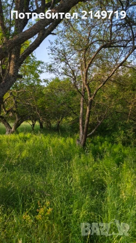 Парцел в село Горни Романци, снимка 3 - Парцели - 50532444