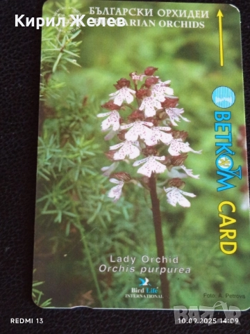 Две фонокарти БЕТКОМ, БУЛ ФОН тема ЦВЕТЯ ОРХИДЕЯ за КОЛЕКЦИЯ ДЕКОРАЦИЯ 42416, снимка 4 - Колекции - 51666283
