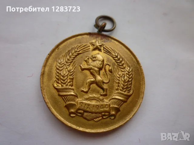 Знак Медал Орден, снимка 4 - Антикварни и старинни предмети - 55986481