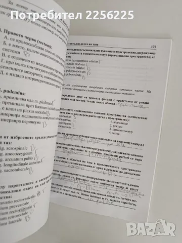 Тестове върху топографска анатомия на труп с клинични случаи, снимка 5 - Специализирана литература - 56245766