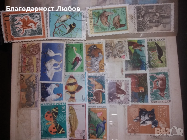 Античен класьор с няколко колекции стари марки, снимка 16 - Филателия - 52427543