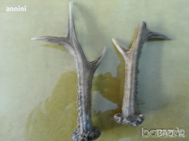 кожен калъф  за шише от   алкохол   за красота, снимка 18 - Други ценни предмети - 28989715