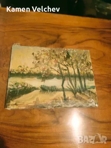 Стара картина.Маслени бой..., снимка 4 - Антикварни и старинни предмети - 49240830