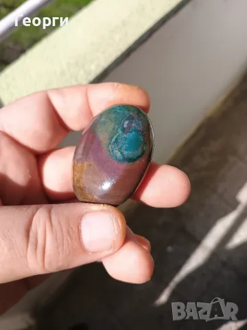 Натурален палмов камък, снимка 2 - Антикварни и старинни предмети - 50092366
