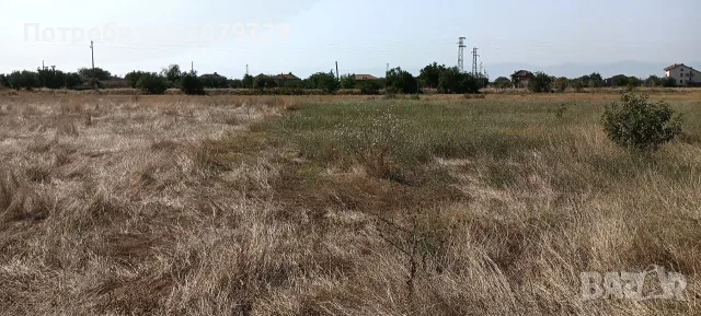 От собственик! Парцел в с. Голям Чардак 4355кв.м., снимка 12 - Парцели - 55504212