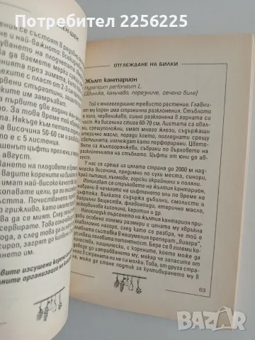 Отглеждане на билки, снимка 3 - Специализирана литература - 56307499