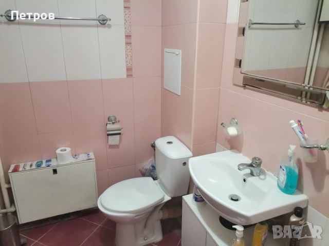 Стая под наем , снимка 5 - Стаи под наем - 51441256