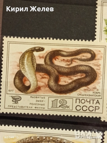 Стари пощенски марки чисти без печат СССР редки за КОЛЕКЦИЯ ДЕКОРАЦИЯ 52005, снимка 2 - Филателия - 53217436