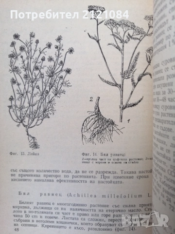 Растения защитават растения / А. Н. Васина , снимка 7 - Специализирана литература - 53061532
