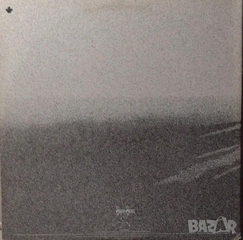 Грамофонни плочи Blondie, Bad Compny, Ten Years After, Sparks, The Kinks x 25 euro, снимка 4 - Грамофонни плочи - 43486059