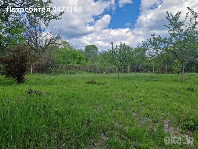 Селски имот, снимка 3 - Парцели - 50260210