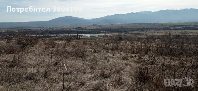 Продавам 1 дек. с двайсетина млади черешови дръвчета [ 0898480946], снимка 6 - Земеделска земя - 44702465