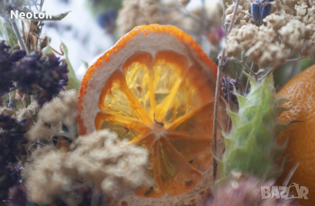 Продавам отличен PENTAX *ist DL2 с аксесоари, снимка 15 - Фотоапарати - 53402251