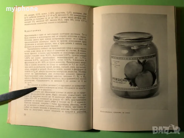 Стара Книга Плодовете и Зеленчуците Храна и Лечебно Средство, снимка 9 - Специализирана литература - 49279639
