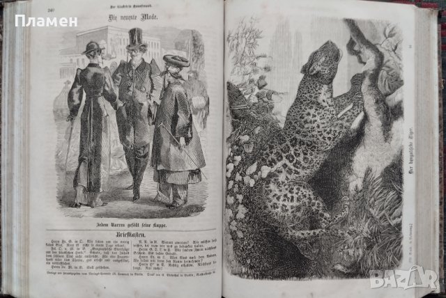 Der Illustrirte Hausfreund /1865/, снимка 9 - Антикварни и старинни предмети - 42509373