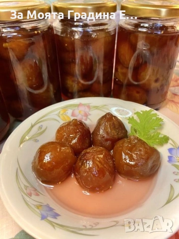 Смокиня Мичуринска , снимка 7 - Градински цветя и растения - 53618424