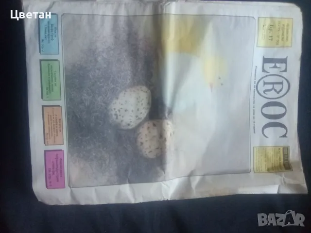 Набор от Вестник Ерос 92 г.Антики , снимка 6 - Колекции - 49426686