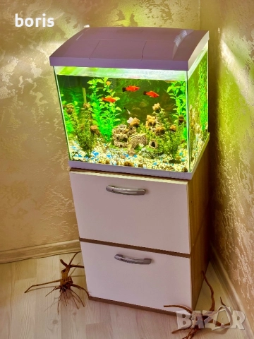 Аквариум 60 литра + шкафчето и рибките