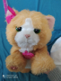 Интерактивно плюшено коте Daisy FurReal Friends Hasbro , снимка 1 - Музикални играчки - 44820552
