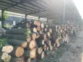 ДЪРВА за Огрев - завод Явор, снимка 2