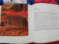 Атлас по зоология Цоло Пешев, Симеон  Симеонов, снимка 5
