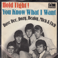Грамофонни плочи Dave Dee, Dozy, Beaky, Mick & Tich – Hold Tight! / You Know What I Want 7" сингъл, снимка 1 - Грамофонни плочи - 44828400