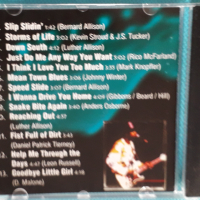 Bernard Allison – 2002 - Storms Of Life(Blues Rock), снимка 3 - CD дискове - 44517410