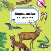 Енциклопедия на гората (Въпроси и отговори) Автор: Емили Бомон 9786192403706, снимка 1 - Енциклопедии, справочници - 36146248