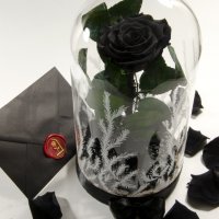 Подарък за Жена / Истинска Черна Роза в ГОЛЯМА Стъкленица / Романтичен и Луксозен Подарък за Нея, снимка 5 - Подаръци за жени - 34470341