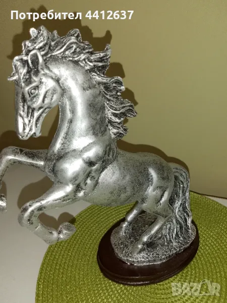 кон, снимка 1