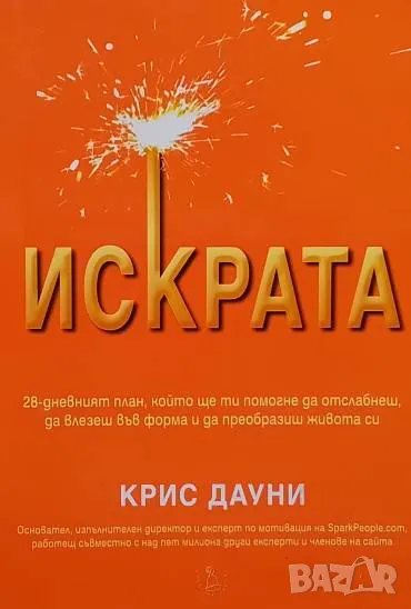 Искрата Крис Дауни, снимка 1