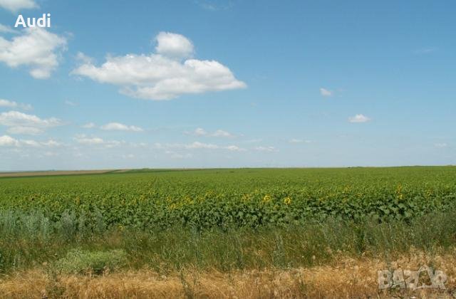 Продавам идеални части 1/4 обработваема замеделска земя в  село Бели Лом община Лозница  област Разг, снимка 1