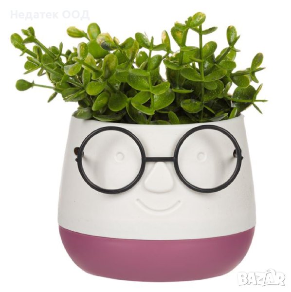 Саксия лице с очила и изкуствено растение,  9,5x9,5x14 см,  Екрю/ бордо, снимка 1
