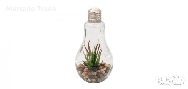 Декоративна стъклена крушка с 10 LED светлини и растение, снимка 3 - Декорация за дома - 36025444