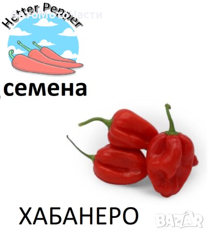 Семена за екзотични люти чушки, снимка 8 - Сортови семена и луковици - 44274579