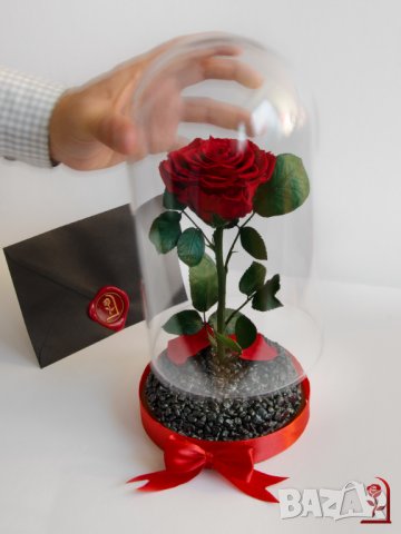 Подарък за Годишнина / Естествена Вечна Роза в Голяма Стъкленица / Оригинален Подарък за Жена, снимка 2 - Други - 34470749