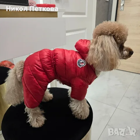 Зимен гащеризон Moncler, снимка 2 - За кучета - 56131792
