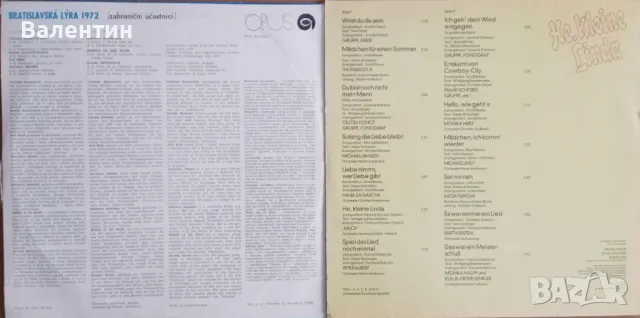 Грамофонни плочи на "Amiga", снимка 6 - Грамофонни плочи - 49057925