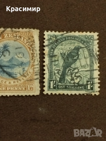 Нова Зеландия 1898 г , снимка 2 - Филателия - 52498577