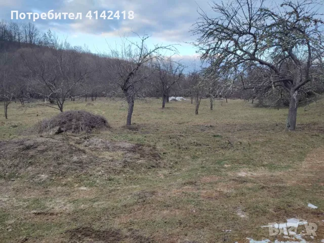 Парцел в Радомир, снимка 2 - Парцели - 49069255