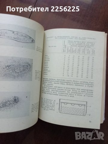 Мед и медолечение, снимка 3 - Специализирана литература - 50399454