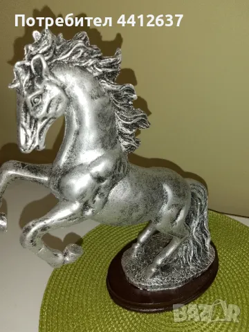 кон, снимка 1