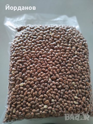 Български лешници без черупка - реколта 2025 г., снимка 4 - Други - 35210181