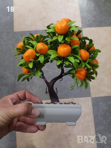 Бонзай , Бонсай