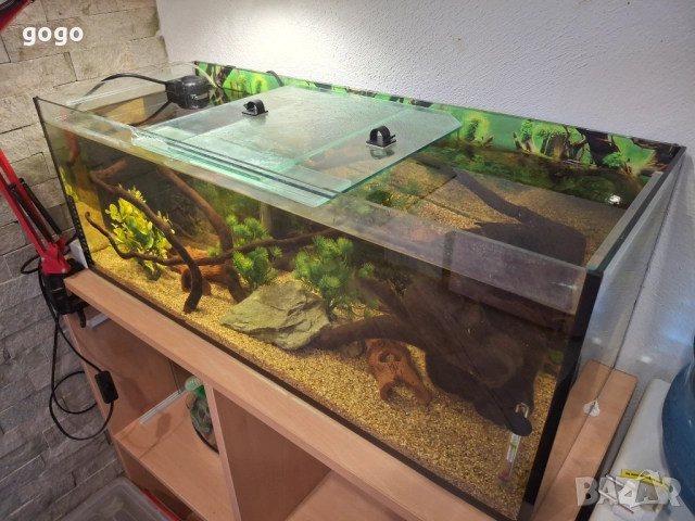 Три  Аквариума , снимка 8 - Аквариуми - 50487180