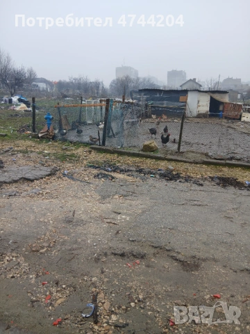 Кокошки пуйки юрдеци за хубава цена само за серяозни хора ще сте доволни, снимка 4 - Кокошки и пуйки - 53570539