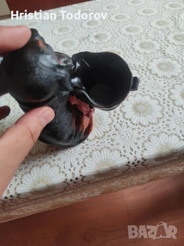 Куче касичка., снимка 4 - Други - 51389843