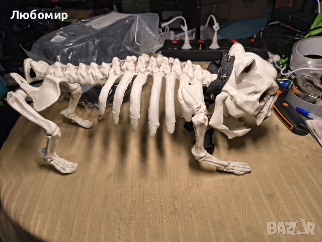 43 см декорация за Хелоуин с куче скелет на каишка , снимка 2 - Декорация за дома - 52637925